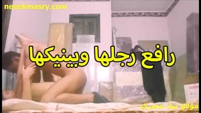 الهايج خد خطيبتوا افلام نيك مصري الممحونة علي الشقه و خلاص فاضل علي فرحهم ايام و المموس بتقوله ريح زوبرك جوا طيزي كام يوم وهيبقي كسي