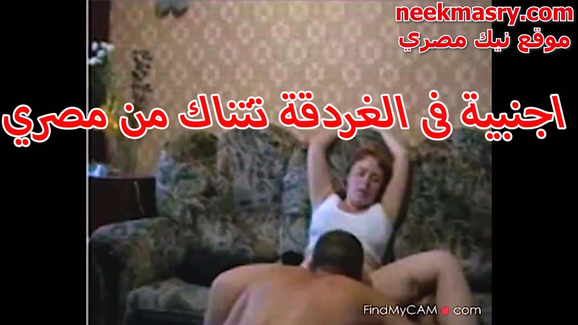شرموطة اجنبية اول مره نيك مصري فشخ تجرب النيك الصح من عنتيل مصري فاشخ كسها المحروم نيك عنيف  و المموس علي اخرها بتصرخ