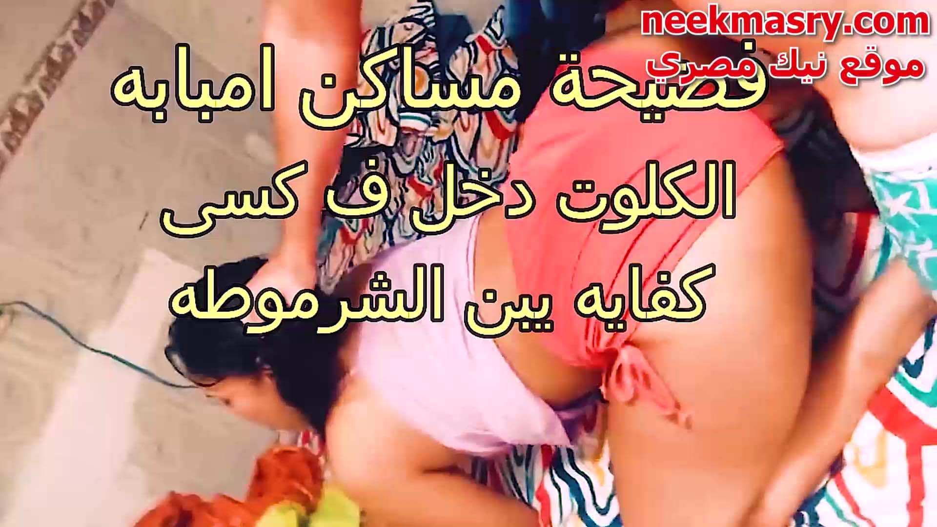 فضيحة شرموطة نيك مصري كلام يهيج امبابة القحبة دينا مشواير اللبوه فلقست طيزها والفحل بينكها الاندر دخل في كسها و عماله تصوت من الوجع قحية مصرية