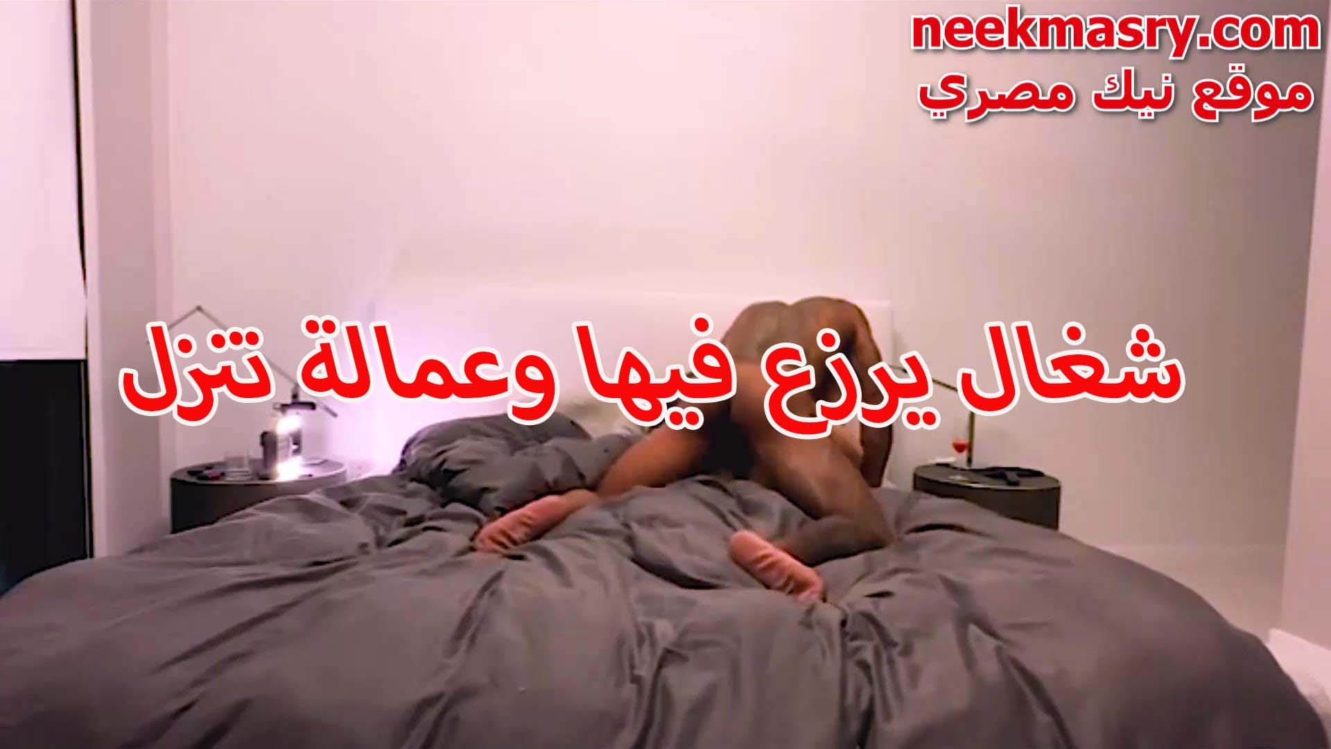 الفحل مغفل نيك مصري جامد اوي حببتوا الممحونة و بيصورها فيديو وهي معا علي فاشخها نيك عنيف و نازل رزع جامد في كسها الممحون فحل زوبره كبير