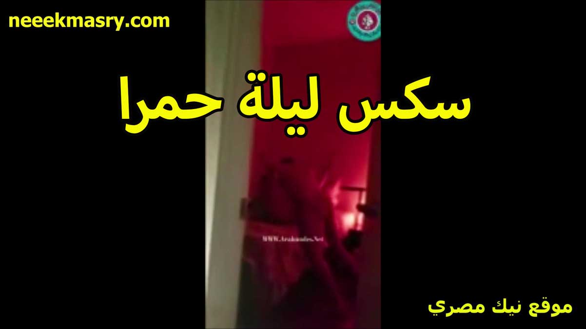 سكس ليله حمرا الشرموطه نيك مصري ساخن صفاء مع الخول عشيقها بتقله النهارده هخليك عريس