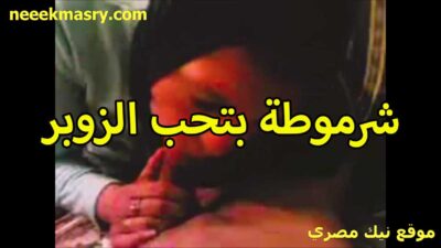 شرموطه بتحب الزوبر اوي نيك مصري ساخن بتقول بموت في المص بحس بيمتعني اوي