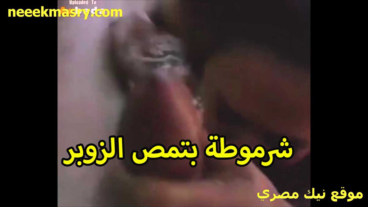 شرموطه بتمص الزبر سكس سوداني بطريقه خرافيه لدرجه الخول بيقولها كفايه انا تعبت اوي عايز ادخل في كسك