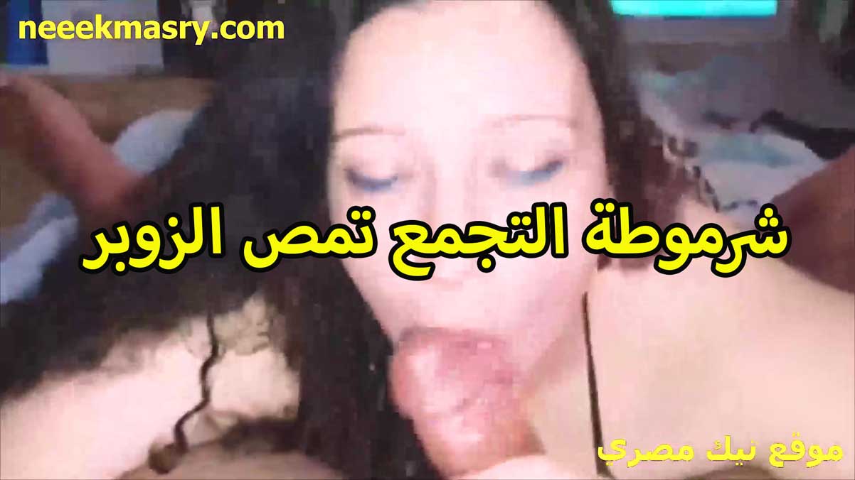 شرموطه التجمع سكس نيك مصري بسمه الهايجه تمص الزبر جسمها دمار وترضع في راس بمتعه