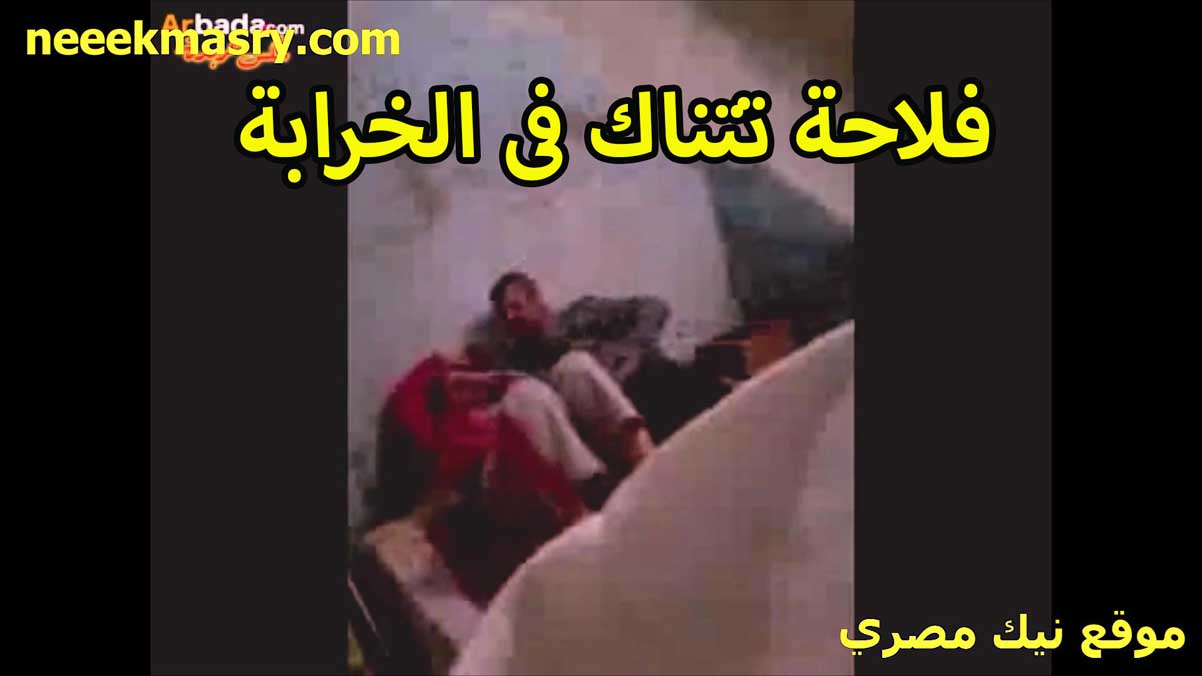 فلاحه بتتناك في الخرابه نيكي مصري من الخول صاحب اخوها شغال يقفش بزازها مولعها
