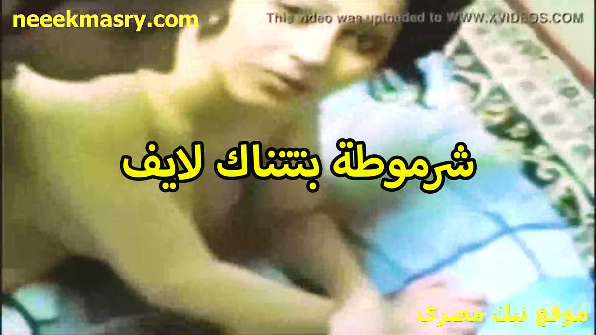 شرموطه بتتناك لايف نيك مصري رايقه اوي ومزاجها عالي بتقوله كيف كسي جامد