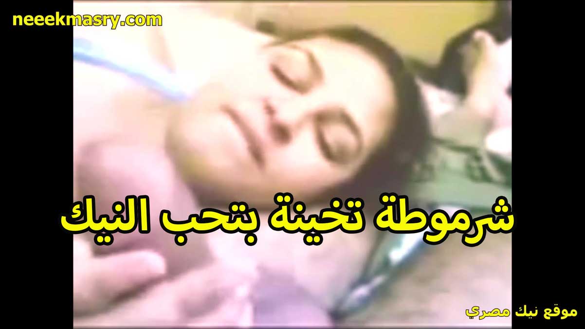شرموطه تخينه نيكي مصري بتحب النيك اوي مدام صفاء هايجه اوي تحلب الزبر