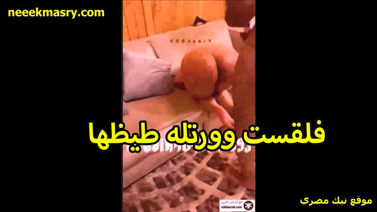 فلقست نيك مصري في الطيز وورتله طيزها البيضه بتسخنه عليها الشرموطه عيزاه في خرم طيظها