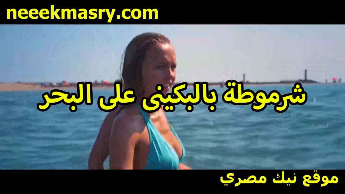 شرموطه بالبكيني على البحر افلام سكس سوداني مع صديقها تتشرمط بلبونه فاجره جسمها كيرفي وبزاز مدوره
