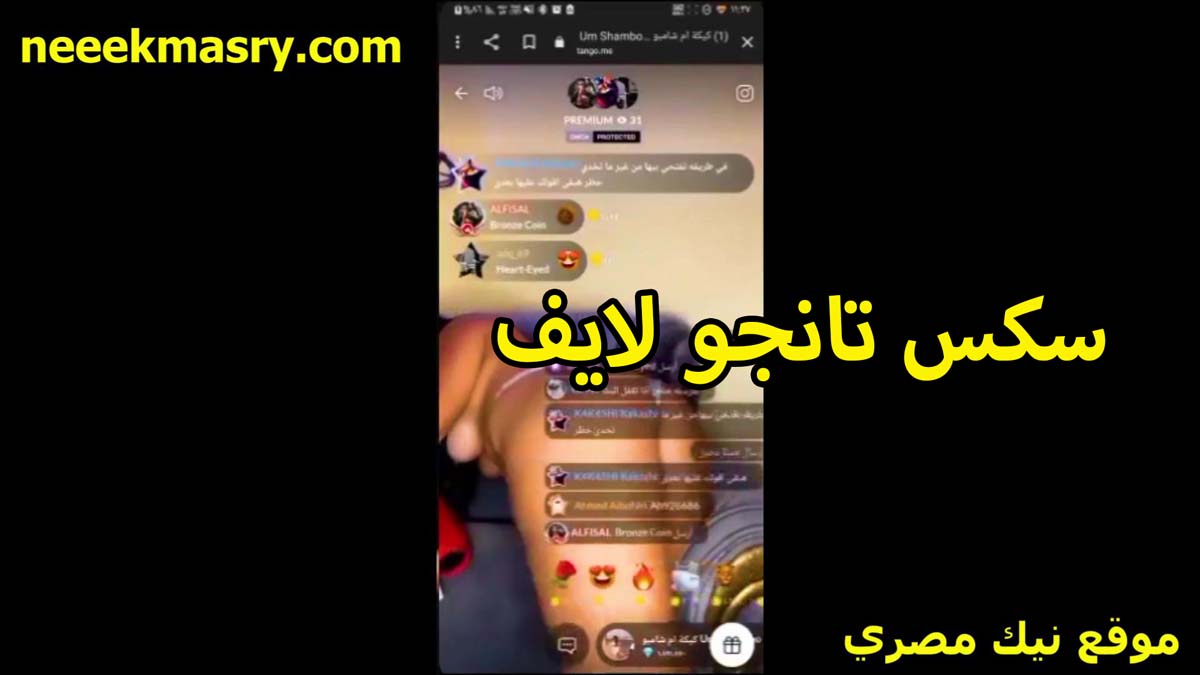 سكس تانجو لايف عرض طيز نيك مصري استثنائيه خطيره اوي وجمالها مثير جدا البت زي البسكوته متشرمطه اوي