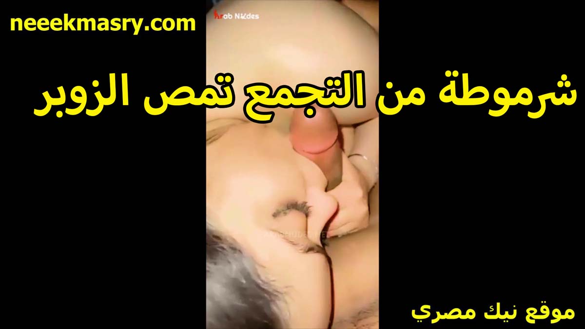 شرموطه من التجمع نيك مصري مع عشيقها العرص تمصله زبره قبل ما يدخله في كسها بتقوله على الناشف بيوجعني اوي