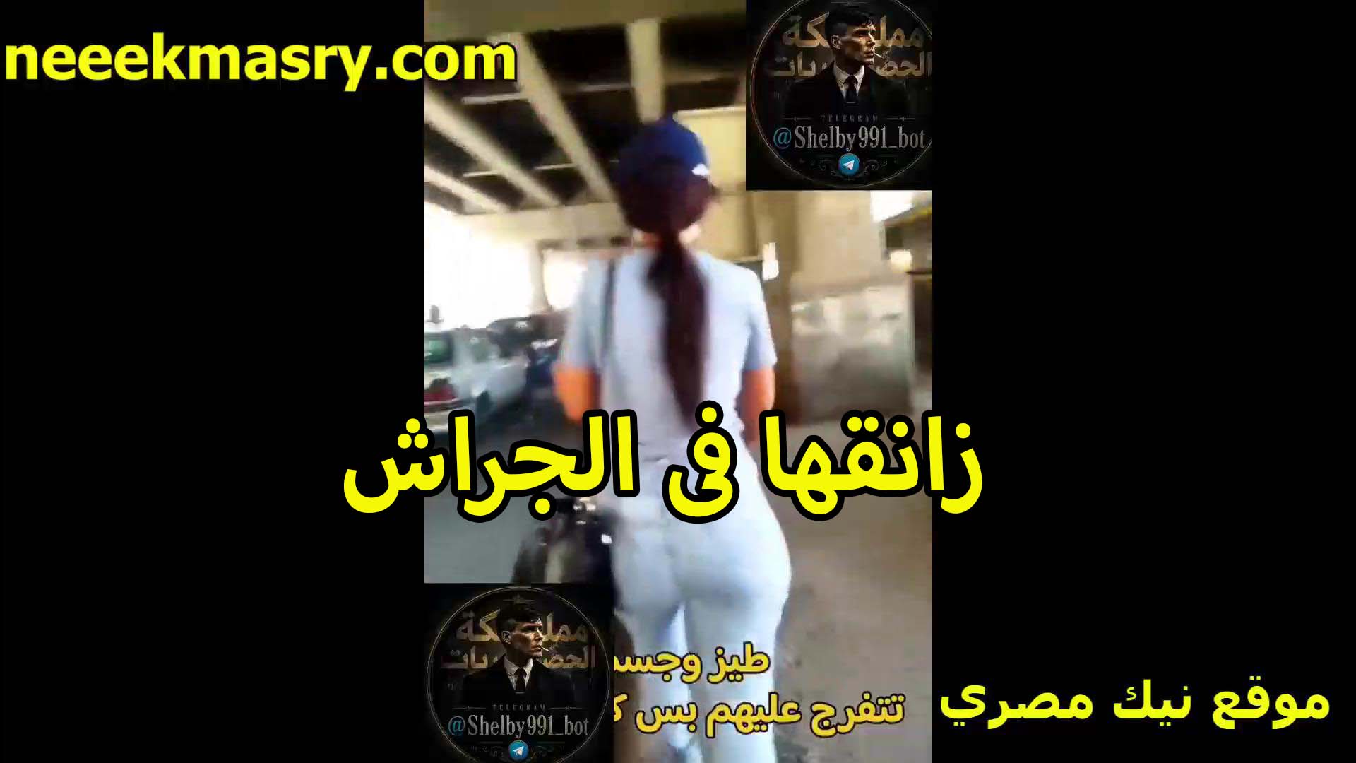 زانقها في الجراش سكس فلاحي بتاع العربيات اللي تحت في العماره جارته الشرموطه جسمها دمار وشغال نيك في كسها