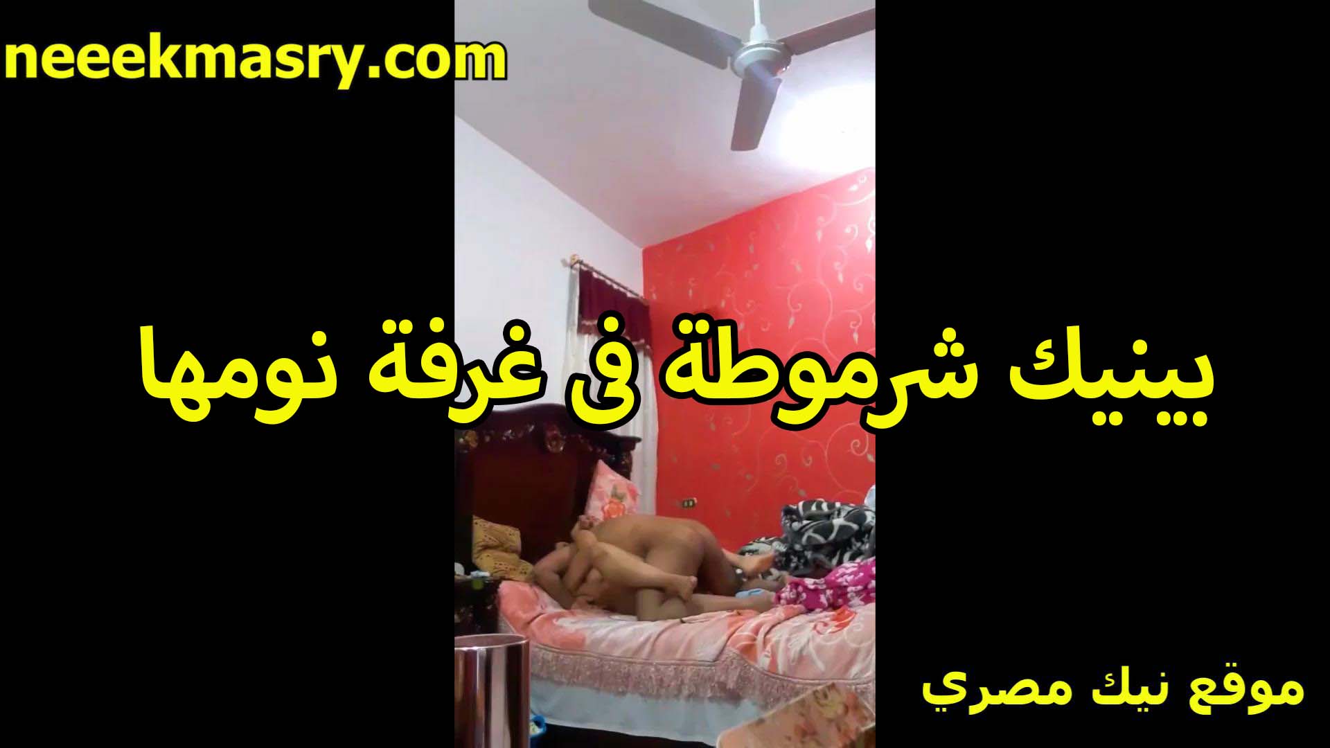 ينيك شرموطه xnxxمصري في غرفه النوم وعلى السرير شغال رزع في كسها قالعين عريانين ملط في احضانه نايمه وبتتناك