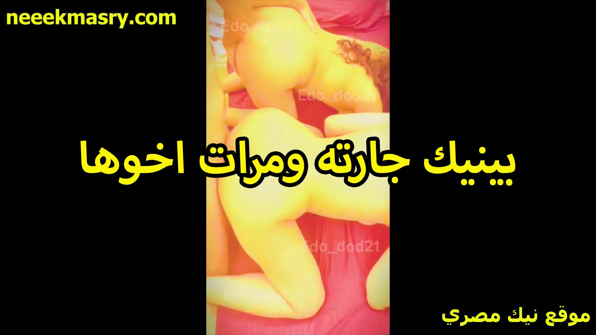 بينيك جارته ومرات نيك مصري اخوها الشرموطه عشان تتمتع من الخول جيباله كمان مرات اخوها يتناكوا هما الاتنين من زبره