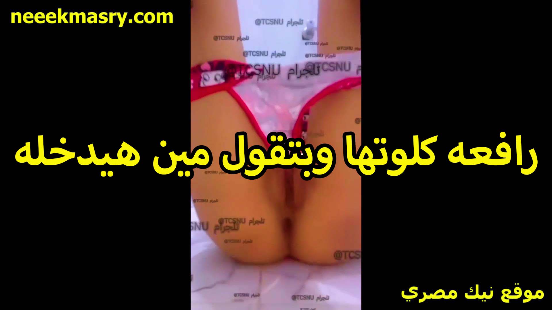 رافعه كلوتها القحبه بتقول سكس تويتر مين اللي عايز يدخله في طيزي ويمتع زبر في الخرم والوسعان ده